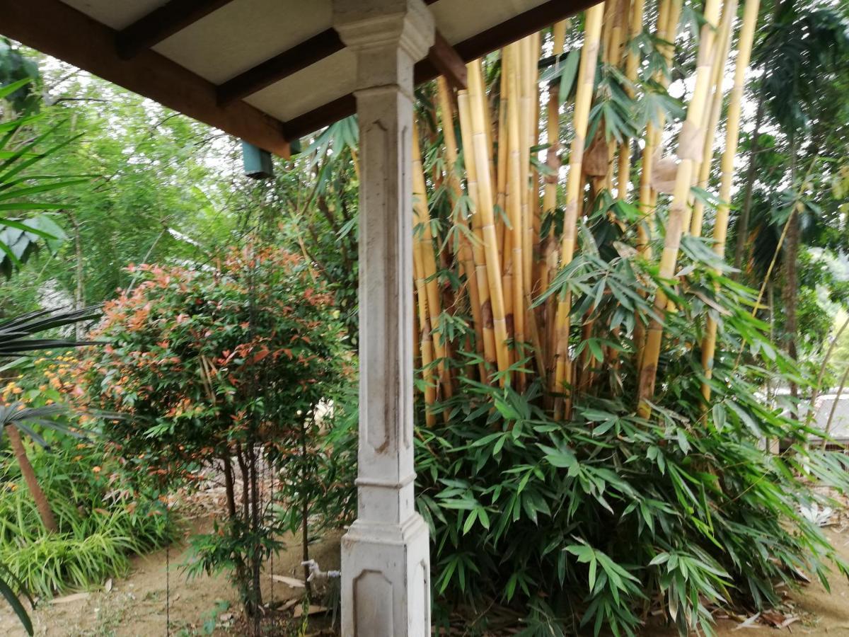 Leaf Guest House Gampola Zewnętrze zdjęcie
