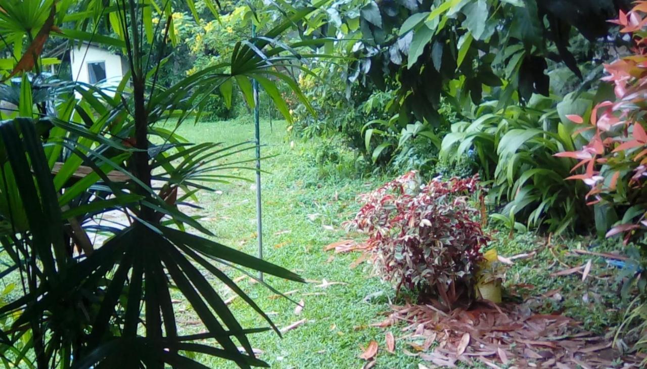 Leaf Guest House Gampola Zewnętrze zdjęcie
